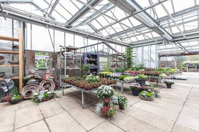Theodor Nienhaus Blumenhaus u. Gartenbau