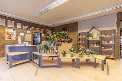 Theodor Nienhaus Blumenhaus u. Gartenbau