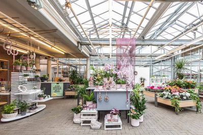 Theodor Nienhaus Blumenhaus u. Gartenbau